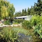 Etang de p�che sur 1ha 30 ares de terrain + Habitation.de plain pied 100m�