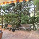Villa au calme sur 1070m� avec piscine