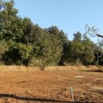 Terrain � b�tir de plus de 900 m�