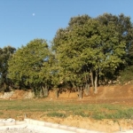 Terrain � b�tir de plus de 900 m�