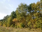 Terrain agricole