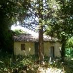 Lot de deux parcelles