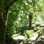 Lot de deux parcelles