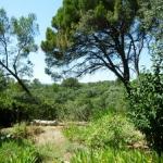 deux villas dans un cadre verdoyant