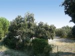 Castillon du Gard, terrain viabilis� avec permis d�pos�...