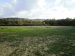 Terrain agricole