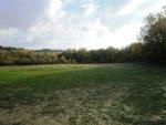 Terrain agricole